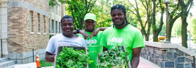 A Bronx School Garden Program: Serving Up Good Hydroponically